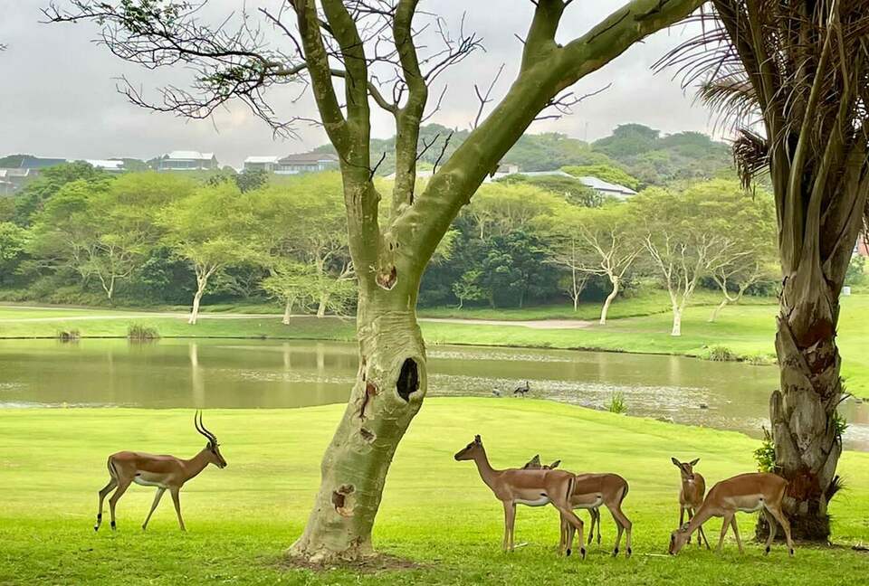 Oceanview Home at Prince’s Grant - Prince's Grant, South Africa