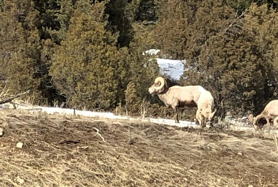 Architectural Alpine Stunner - Park City, Utah