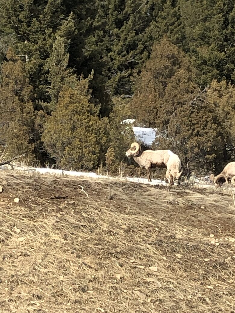 Architectural Alpine Stunner - Park City, Utah