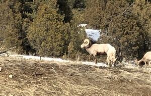 Architectural Alpine Stunner - Park City, Utah