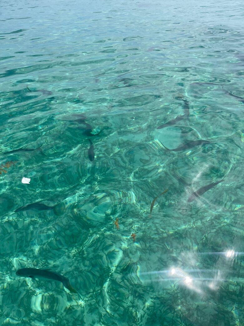 Pelican Reef Villas | Easygoing Beachfront Living on Ambergris Caye - Calle San Pedro, Belize