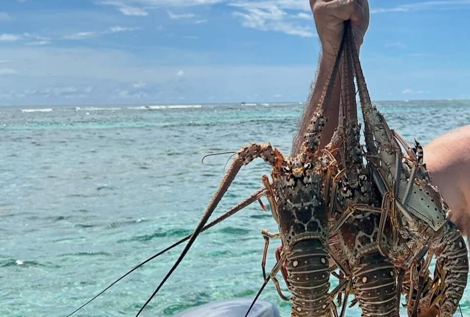 Pelican Reef Villas | Easygoing Beachfront Living on Ambergris Caye - Calle San Pedro, Belize