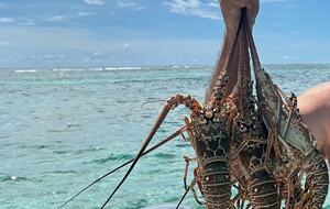 Pelican Reef Villas | Easygoing Beachfront Living on Ambergris Caye - Calle San Pedro, Belize
