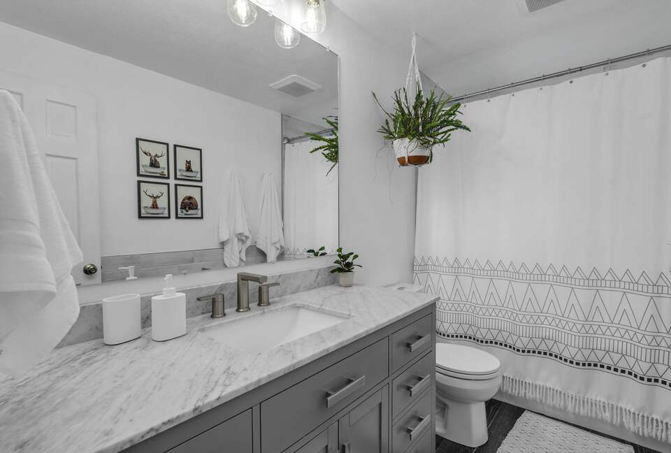 Bright & Cozy Home Near Parks, Downtown & Boulder - Longmont, Colorado