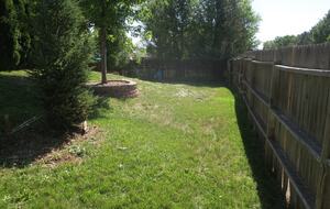 Bright & Cozy Home Near Parks, Downtown & Boulder - Longmont, Colorado