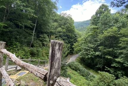 Carolina Blue Mountain Escape Near Asheville - Black Mountain, North Carolina