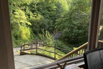 Carolina Blue Mountain Escape Near Asheville - Black Mountain, North Carolina