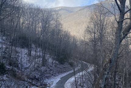 Carolina Blue Mountain Escape Near Asheville - Black Mountain, North Carolina