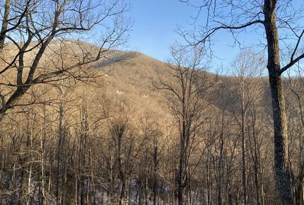 Carolina Blue Mountain Escape Near Asheville - Black Mountain, North Carolina