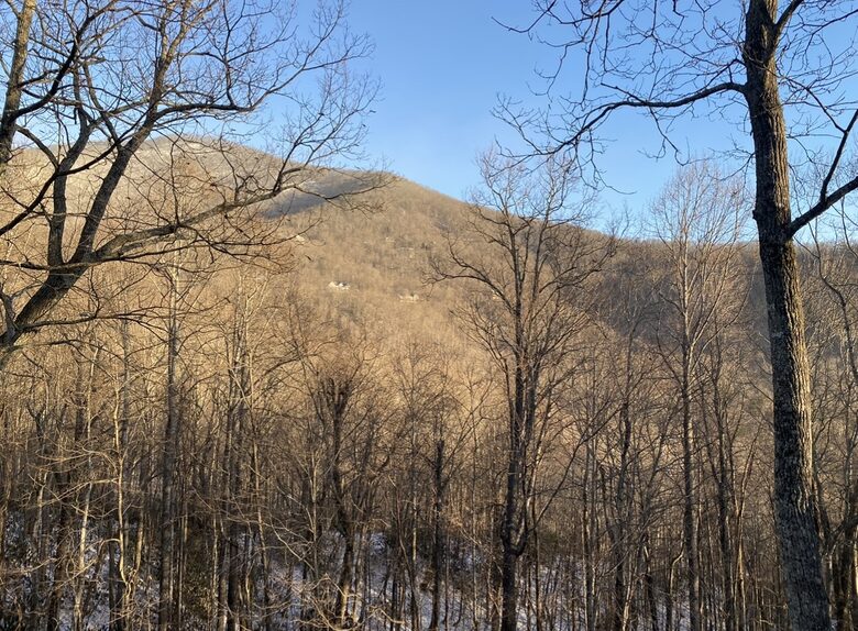 Carolina Blue Mountain Escape Near Asheville - Black Mountain, North Carolina