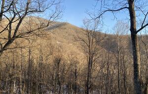 Carolina Blue Mountain Escape Near Asheville - Black Mountain, North Carolina