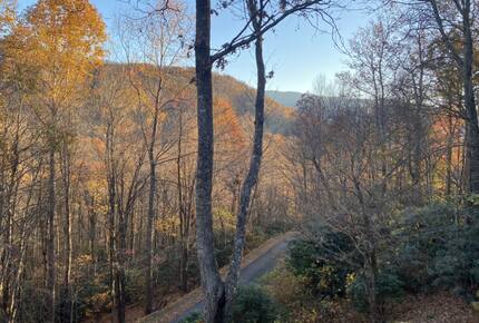 Carolina Blue Mountain Escape Near Asheville - Black Mountain, North Carolina
