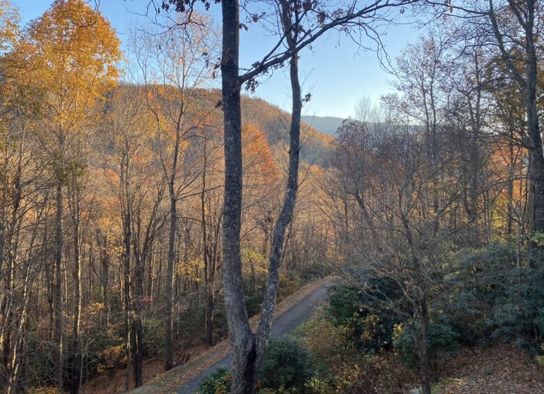 Carolina Blue Mountain Escape Near Asheville - Black Mountain, North Carolina