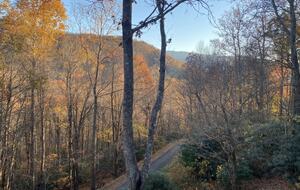 Carolina Blue Mountain Escape Near Asheville - Black Mountain, North Carolina