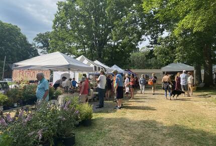 Summer Farmers Market