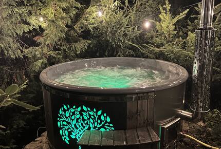 LedowoHouse Vintage with own Golf Course and Pool - Ledowo, Poland