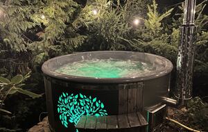 LedowoHouse Vintage with own Golf Course and Pool - Ledowo, Poland