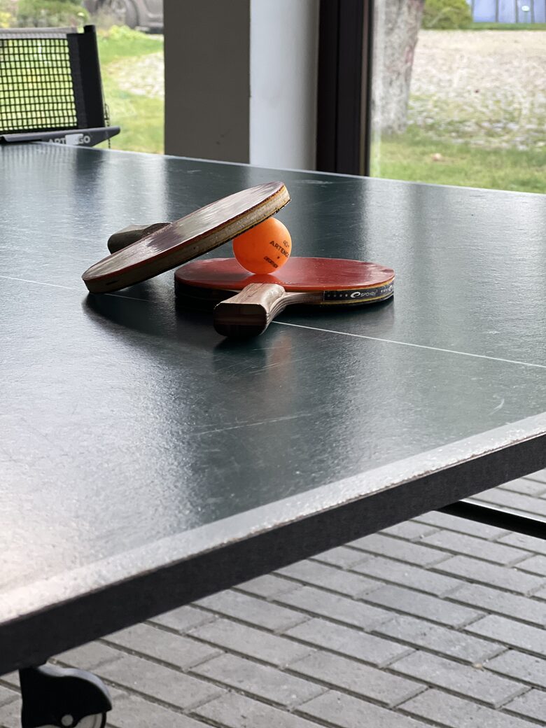 LedowoHouse Vintage with own Golf Course and Pool - Ledowo, Poland