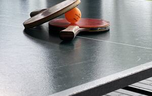 LedowoHouse Vintage with own Golf Course and Pool - Ledowo, Poland