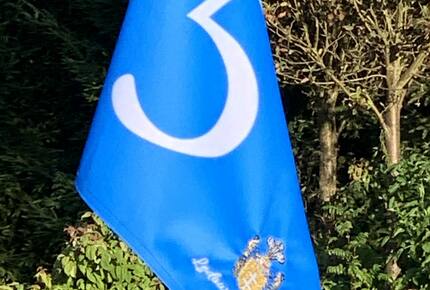 LedowoHouse Vintage with own Golf Course and Pool - Ledowo, Poland