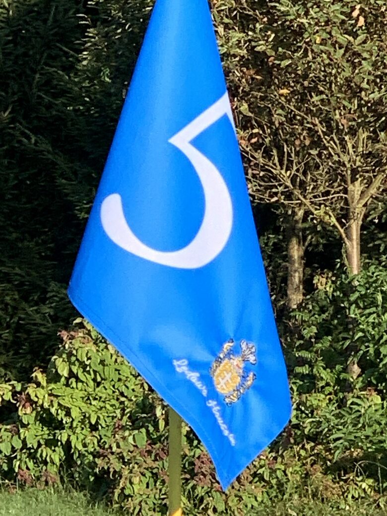 LedowoHouse Vintage with own Golf Course and Pool - Ledowo, Poland