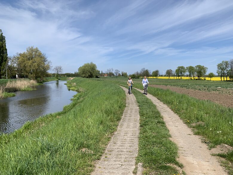 LedowoHouse Vintage with own Golf Course and Pool - Ledowo, Poland