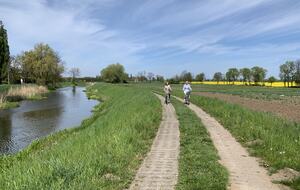 LedowoHouse Vintage with own Golf Course and Pool - Ledowo, Poland