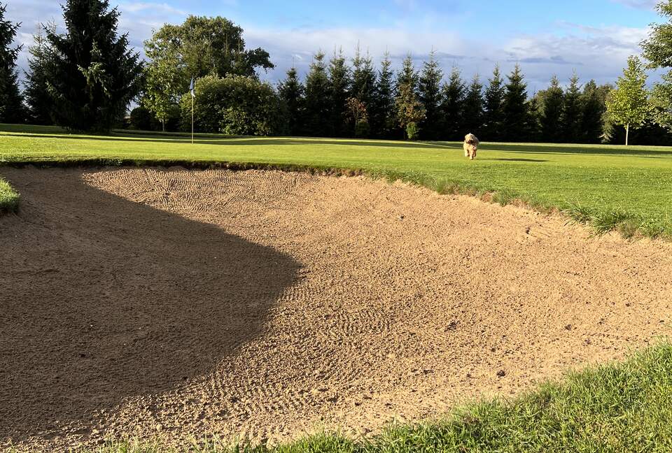 LedowoHouse Industrial Style with own Golf Course and Pool - Ledowo, Poland