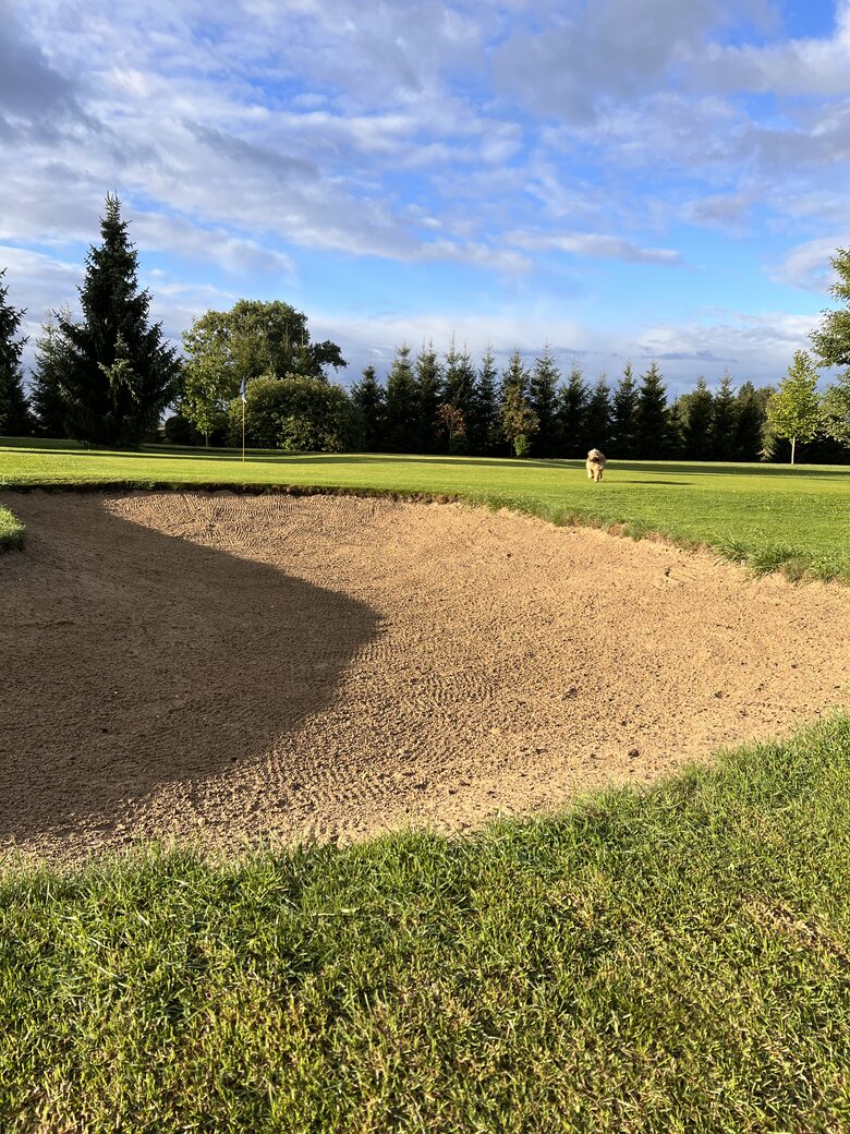 LedowoHouse Industrial Style with own Golf Course and Pool - Ledowo, Poland