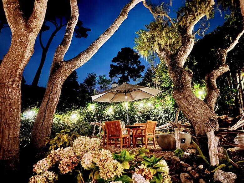 Light Filled Carmel Hideaway | Short Walk to Downtown and the Beach - Carmel, California