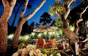 Light Filled Carmel Hideaway | Short Walk to Downtown and the Beach - Carmel, California