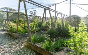 Modern Glass Walled Countryside Sanctuary in Rural Victoria - Bullengarook, Australia