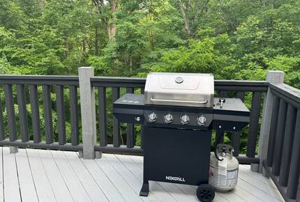 Cozy Hidden Woodland Retreat Near the Lake - Moneta, Virginia