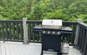 Cozy Hidden Woodland Retreat Near the Lake - Moneta, Virginia