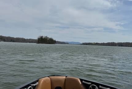 Cozy Hidden Woodland Retreat Near the Lake - Moneta, Virginia