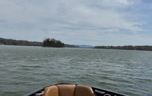 Cozy Hidden Woodland Retreat Near the Lake - Moneta, Virginia
