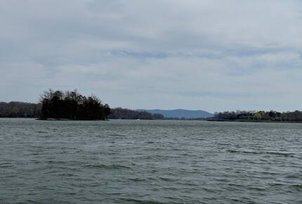 Cozy Hidden Woodland Retreat Near the Lake - Moneta, Virginia