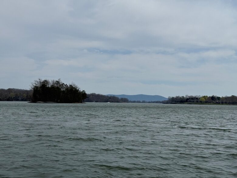 Cozy Hidden Woodland Retreat Near the Lake - Moneta, Virginia