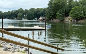 Cozy Hidden Woodland Retreat Near the Lake - Moneta, Virginia
