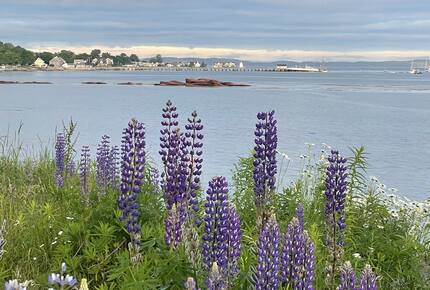 Magnificent St. Andrews Seaside Estate - St. Andrews, Canada