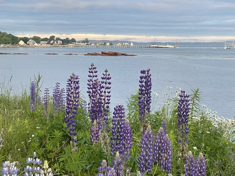 Magnificent St. Andrews Seaside Estate - St. Andrews, Canada