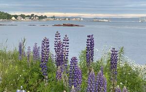 Magnificent St. Andrews Seaside Estate - St. Andrews, Canada