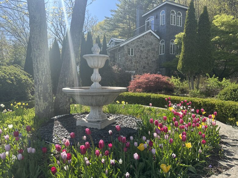 Easter's First Blooms at the Estate and Late April Exclusive Tulip Extravaganza - Woodstock, New York