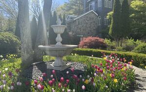 Easter's First Blooms at the Estate and Late April Exclusive Tulip Extravaganza - Woodstock, New York