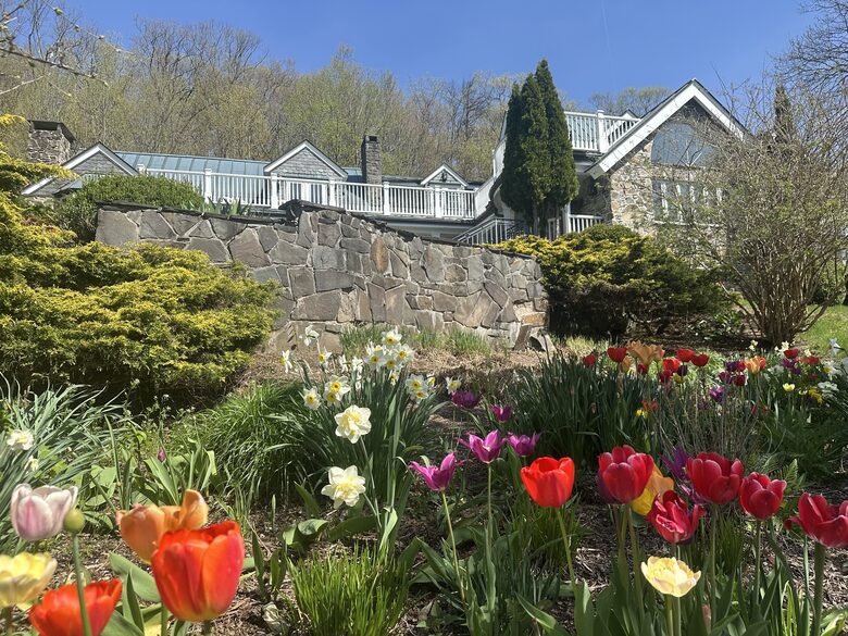Easter's First Blooms at the Estate and Late April Exclusive Tulip Extravaganza - Woodstock, New York
