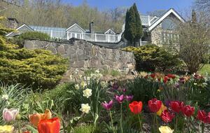 Easter's First Blooms at the Estate and Late April Exclusive Tulip Extravaganza - Woodstock, New York