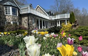 Easter's First Blooms at the Estate and Late April Exclusive Tulip Extravaganza - Woodstock, New York