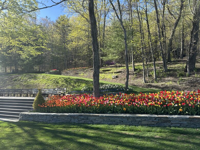 Easter's First Blooms at the Estate and Late April Exclusive Tulip Extravaganza - Woodstock, New York