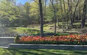 Easter's First Blooms at the Estate and Late April Exclusive Tulip Extravaganza - Woodstock, New York