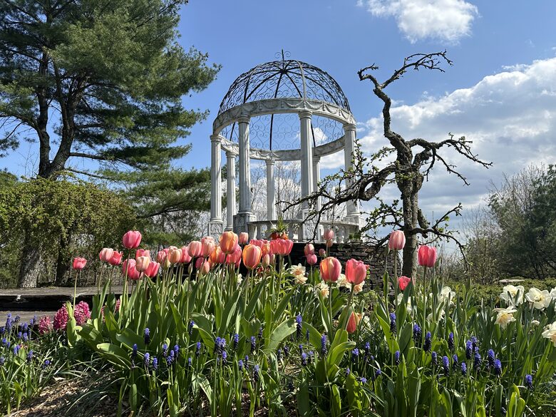 Easter's First Blooms at the Estate and Late April Exclusive Tulip Extravaganza - Woodstock, New York
